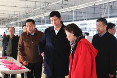 大連市副市長靳國衛(wèi)一行調(diào)研拉瓦多